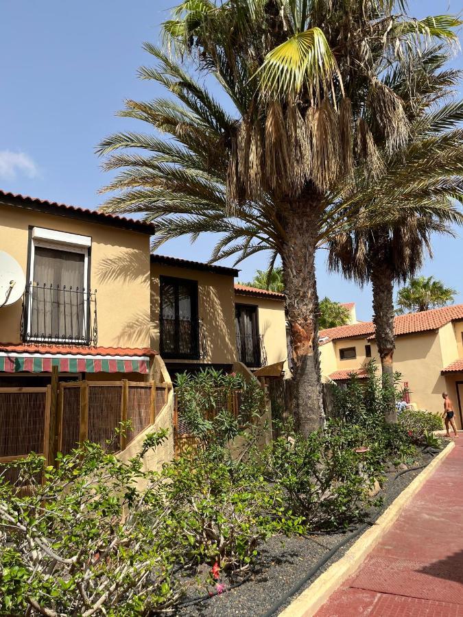 Surf & Chill Bungalow 69, Quiet Green Oasis With Community Swimmingpool Parque Holandes Exterior foto