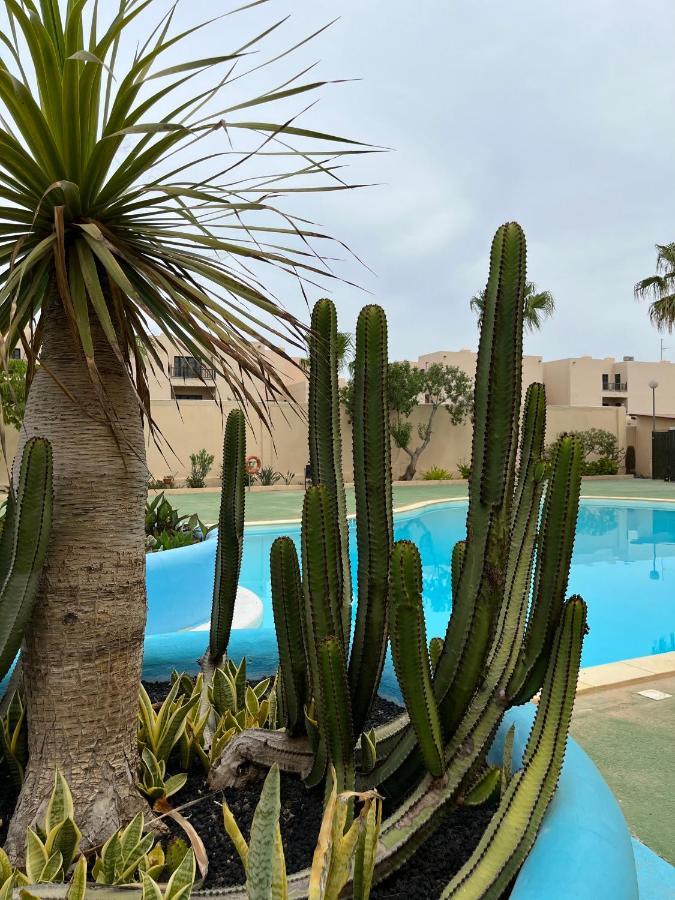 Surf & Chill Bungalow 69, Quiet Green Oasis With Community Swimmingpool Parque Holandes Exterior foto