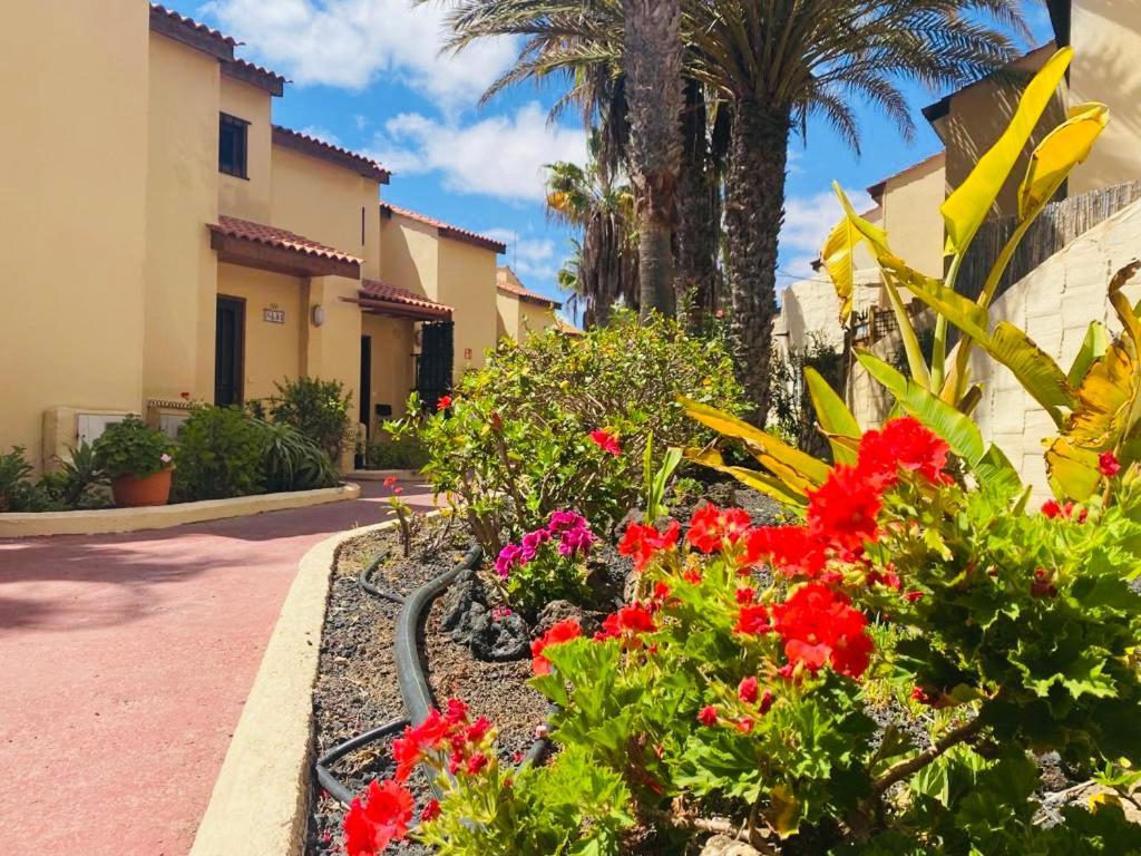 Surf & Chill Bungalow 69, Quiet Green Oasis With Community Swimmingpool Parque Holandes Exterior foto