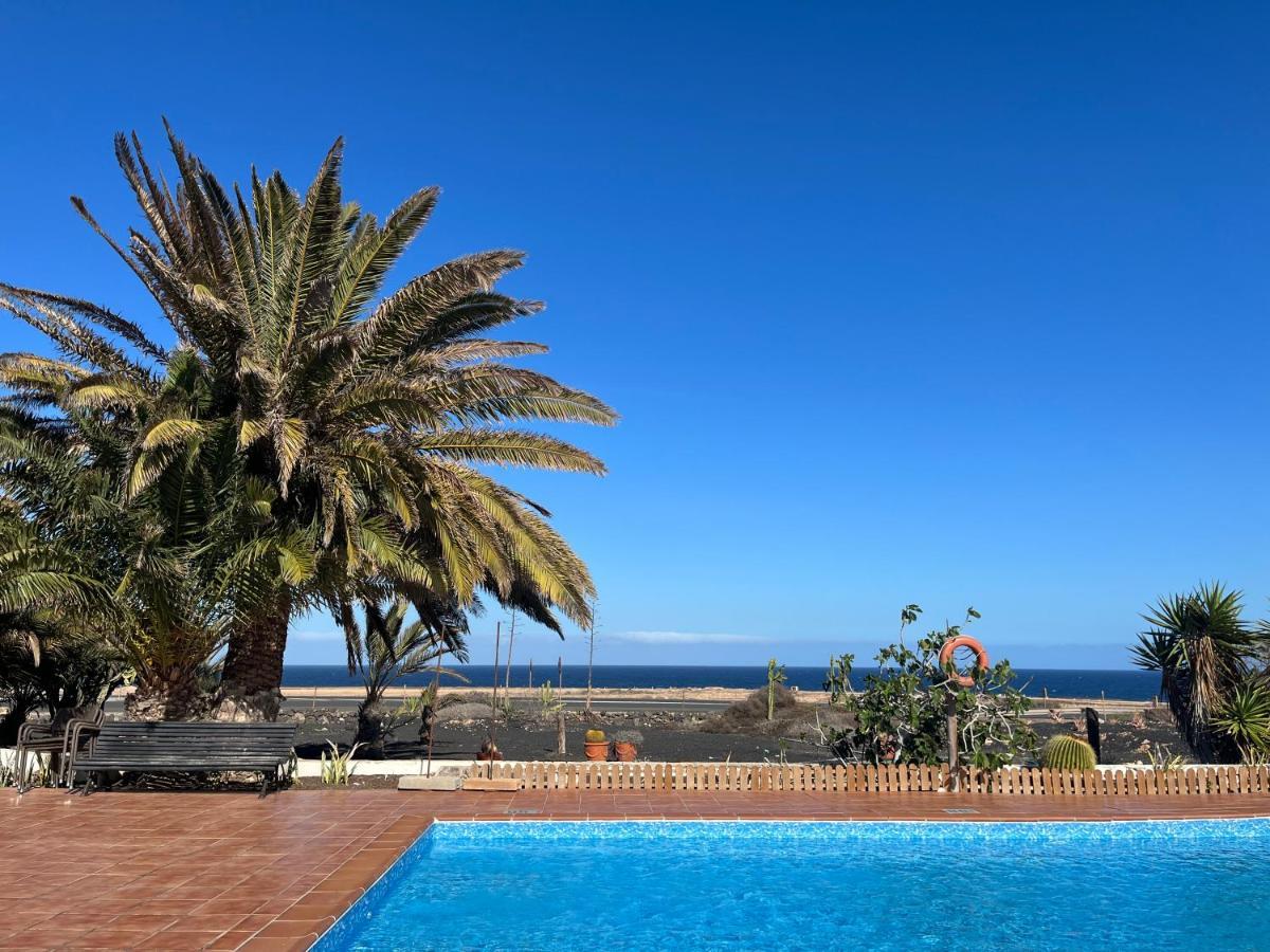 Surf & Chill Bungalow 69, Quiet Green Oasis With Community Swimmingpool Parque Holandes Exterior foto